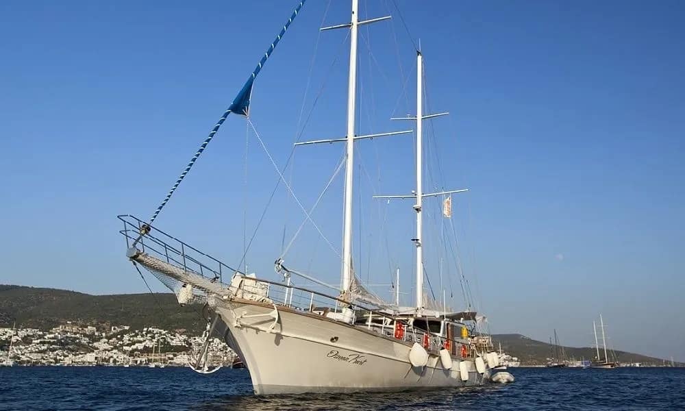 Gulet 105