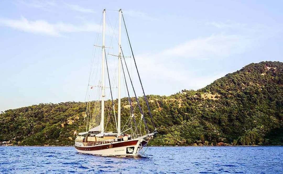 Wicked Felina: 5 Cabins, Jet Ski Fun - Fotoğraf 5