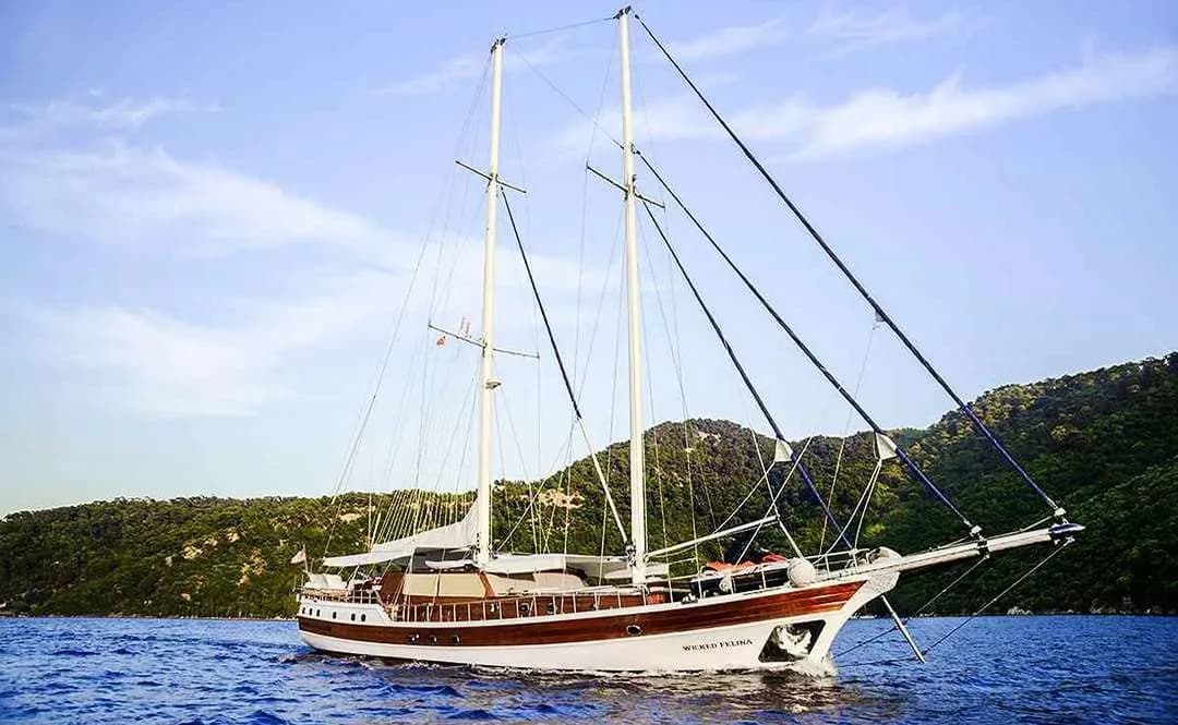 Wicked Felina: 5 Cabins, Jet Ski Fun - Fotoğraf 4