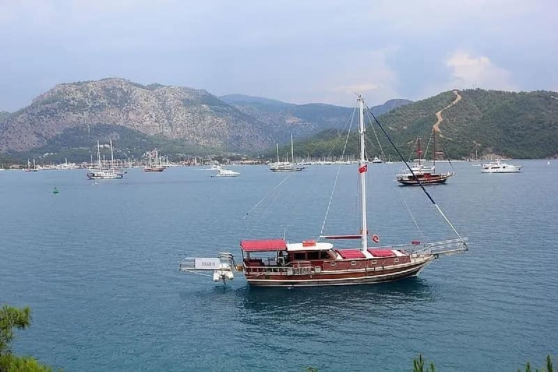 Akar H