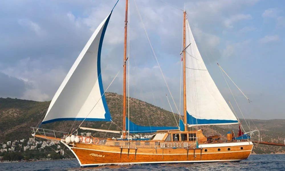 Ariva 1
