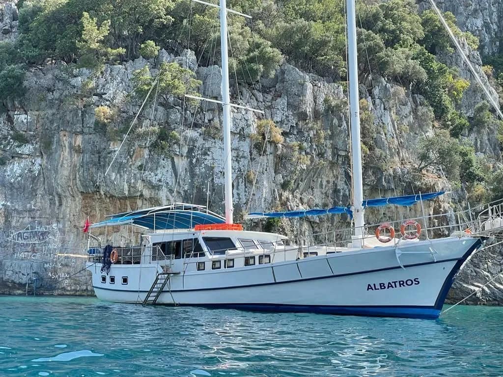 Albatros