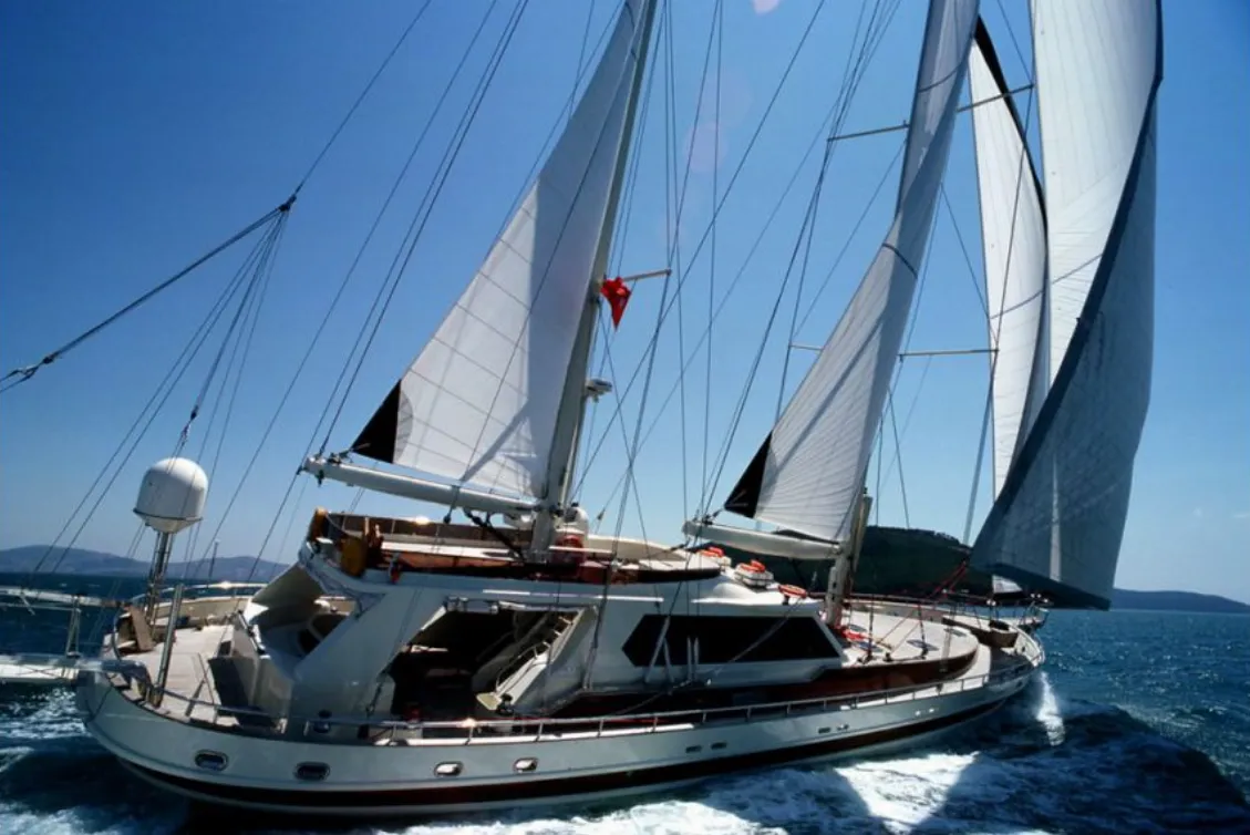 Sea Beauty