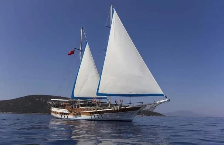 Blue Marlin