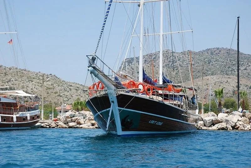 Last Love: 8 Cabins, Kayak & Cool Comfort - Fotoğraf 3