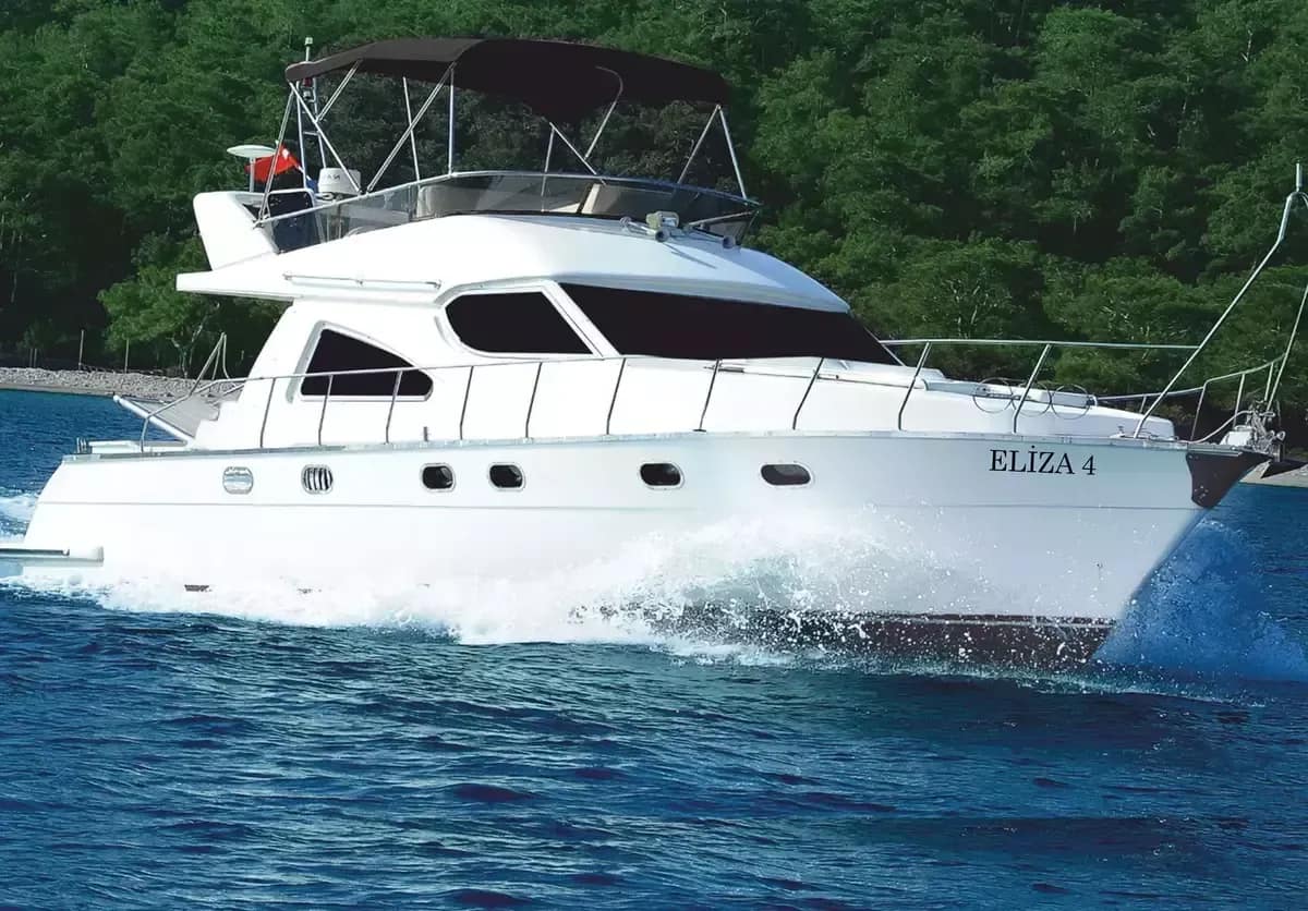 Eliza 4
