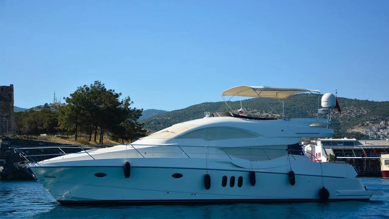 Numarine 55
