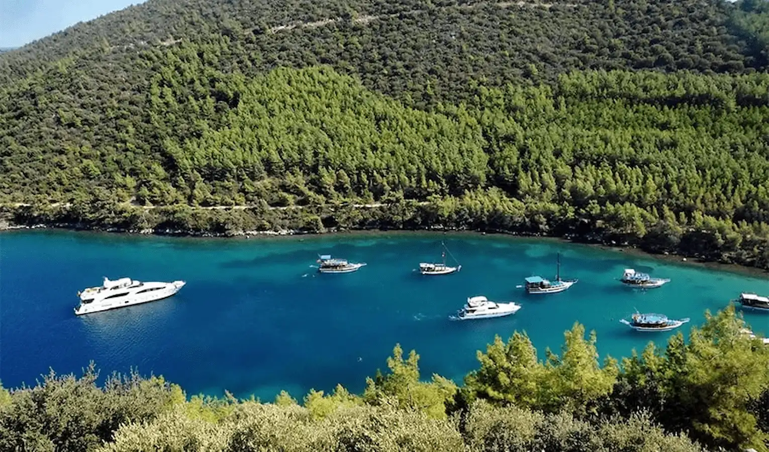 Stilvolle Segelyachten und Gulets, die in einer türkisfarbenen Bucht unter den olivenbewachsenen Hügeln von Bodrum vor Anker liegen.
