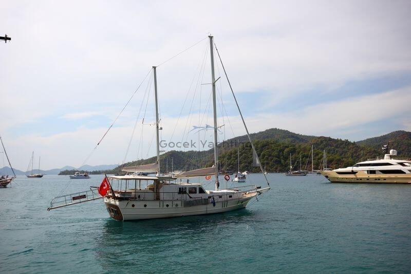 Perfectlife teknesi dış görünüm