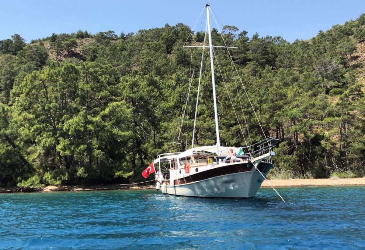 Sweetlife teknesi dış görünüm