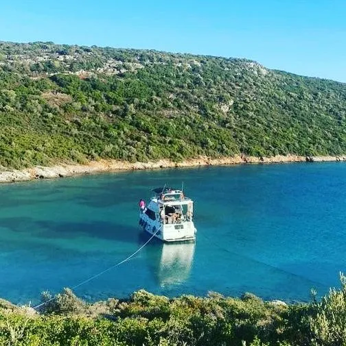 Çesme Kiralık Bayliner 3587 12m Motoryat - Fotoğraf 5