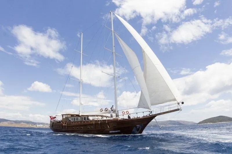 33m Bodrum 7 Cabin Gulet Hire - Fotoğraf 4