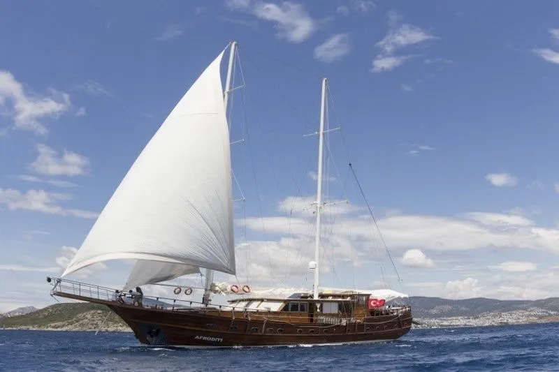33m Bodrum 7 Cabin Gulet Hire - Fotoğraf 3