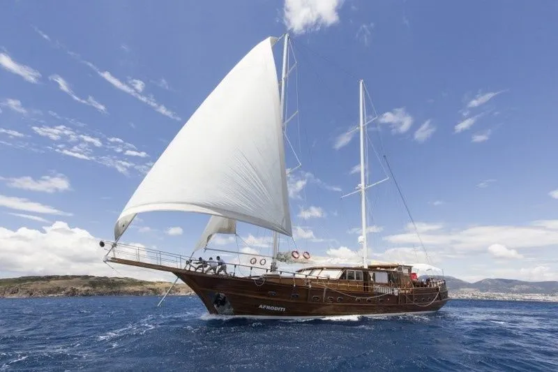 33m Bodrum 7 Cabin Gulet Hire - Fotoğraf 1