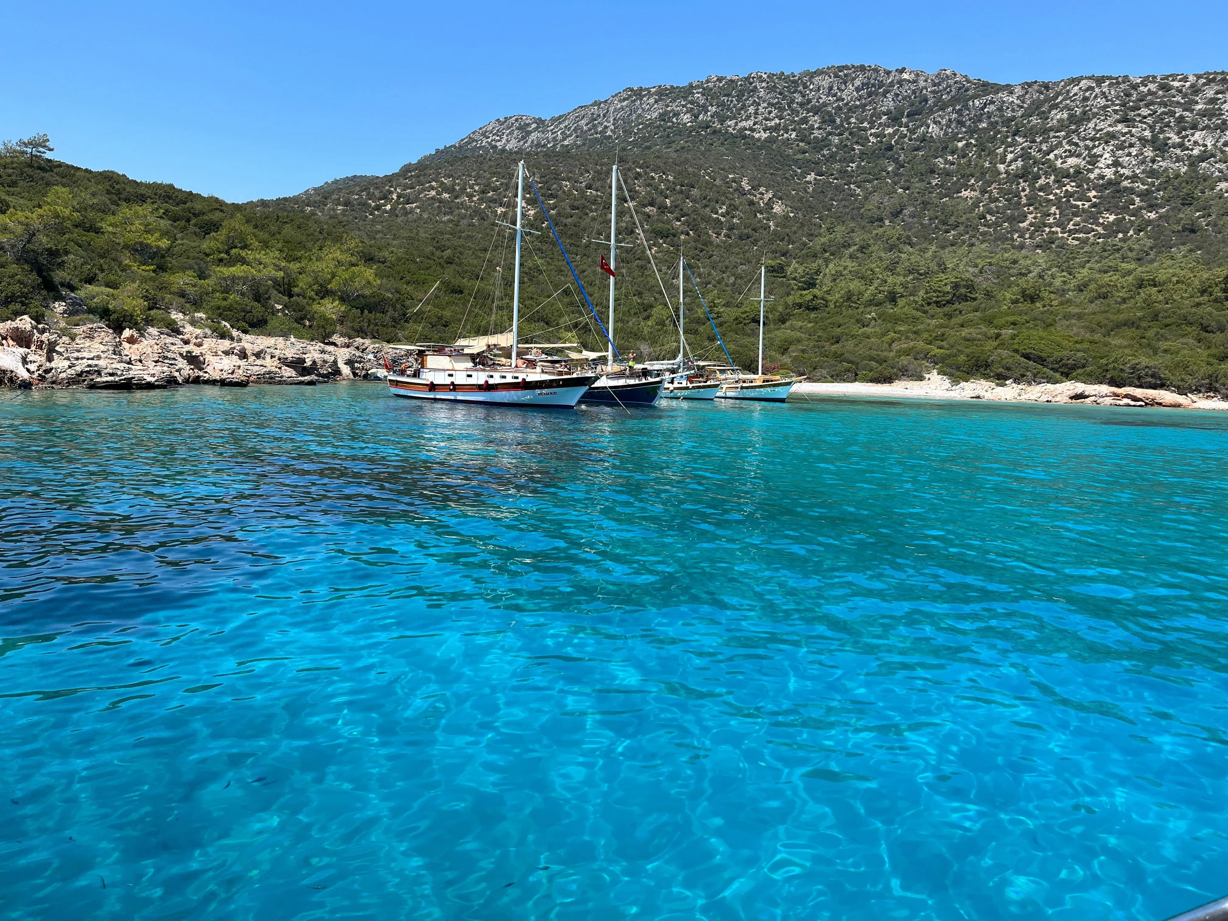 Bodrum 22m Kiralık 6 Kabinli Gulet - Fotoğraf 5