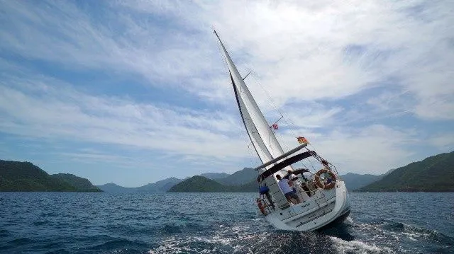 Sunny Jeanneau: 3 Cabins, WiFi & Coffee Bliss - Fotoğraf 3